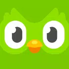 듀오링고(Duolingo): 언어 학습