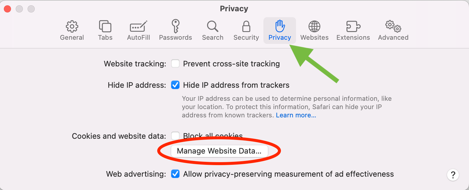 Safari Manage Website Data